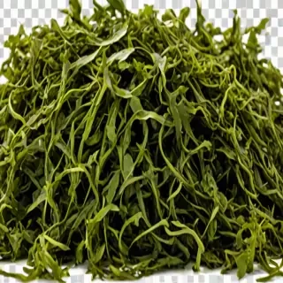 seaweed png