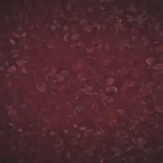 maroon aesthetic
