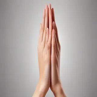 praying hands png transparent