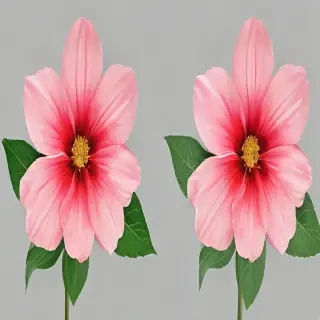flower no bg
