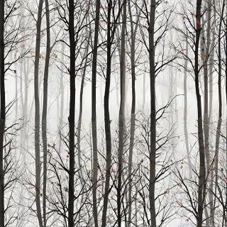 trees transparent