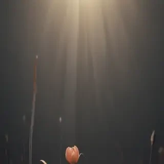 minimal background iphone