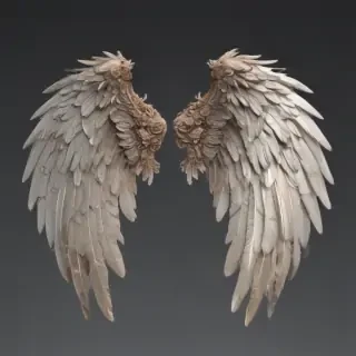 angel wings transparent background