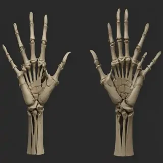 skeleton hands png