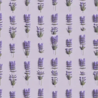 lavender aesthetic wallpaper