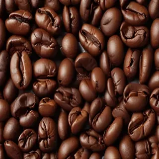 coffee bean png