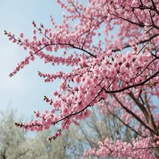 spring wallpaper aesthetic