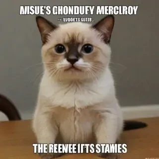 meme pictures