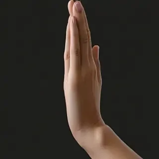praying hands png transparent