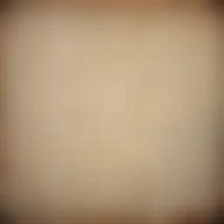 vintage texture overlay