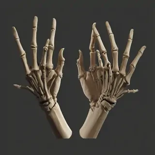 skeleton hands png