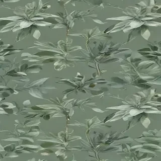 sage green aesthetic