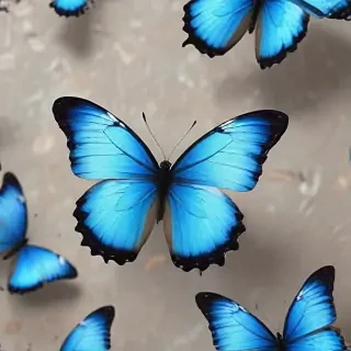 aesthetic blue butterfly