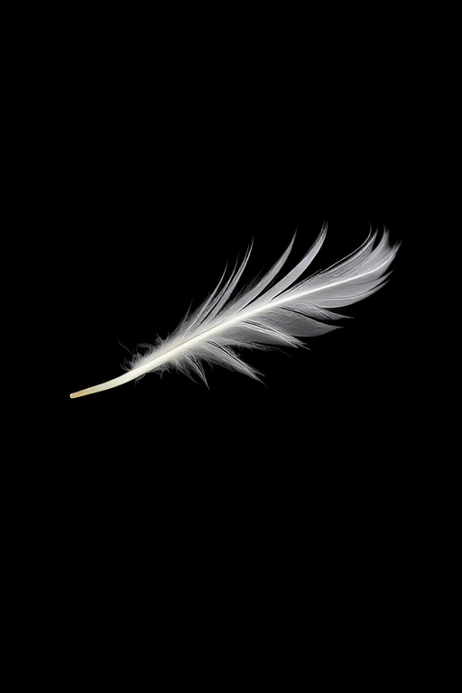 Capture a delicate feather floating against a black background with a macro lens, ISO 100, aperture f/2.8, shutter speed 1/200s, using a full-frame DSLR camera in soft natural light for enhanced texture and detail.