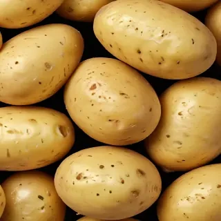 potato png