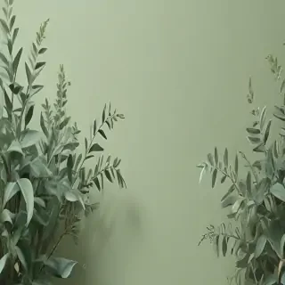 wallpaper aesthetic sage green