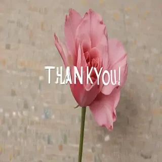 thank you image
