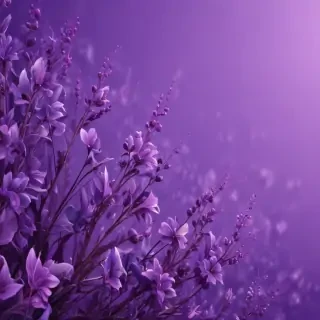 pretty purple backgrounds