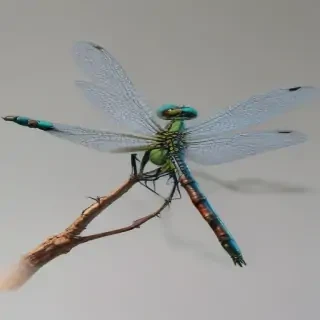 dragonfly png