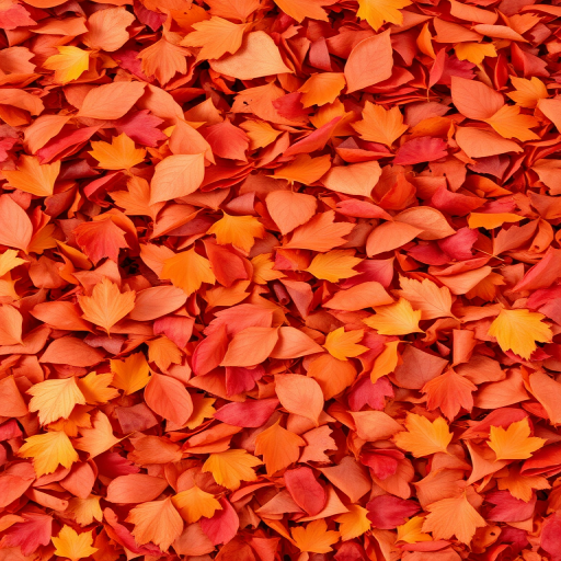 Autumn Leaves Tumble displays a captivating mix of warm reds, oranges, and golden browns in a layered shag cut that mimics falling autumn foliage