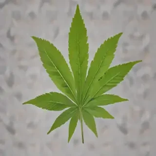 pot leaf png