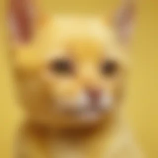 cute yellow background