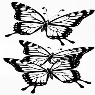 butterfly drawling