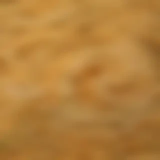 ramen noodles png