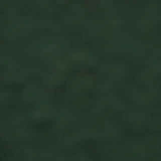 dark green wallpaper aesthetic