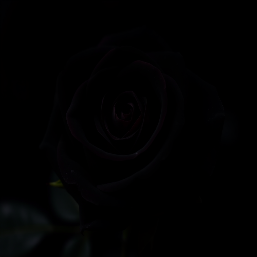 black rose background
