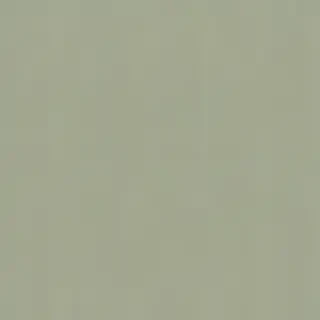 sage green bg