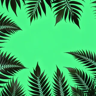 green aesthetic backgrounds