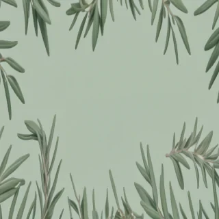 sage green aesthetic background