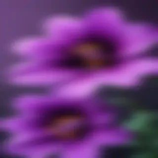 purple flower iphone wallpaper