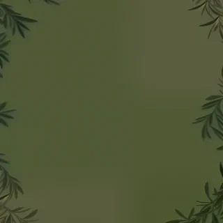 olive green aesthetic wallpaper
