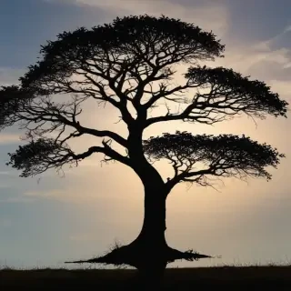 trees silhouette png