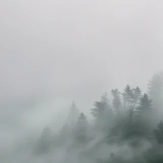 fog transparent background