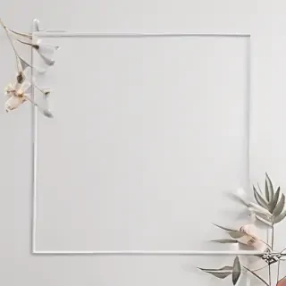 white background aesthetic