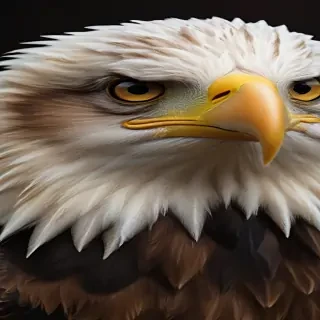 cool eagle wallpaper