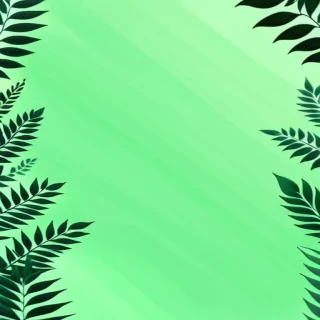 aesthetic green bg
