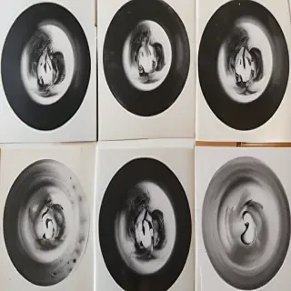circle pictures