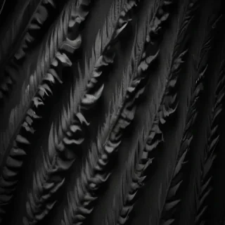 black and white iphone wallpaper