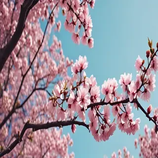 spring iphone wallpaper