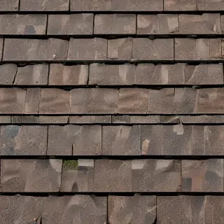 shingles images