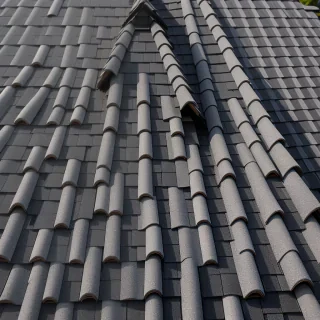 pictures of shingles