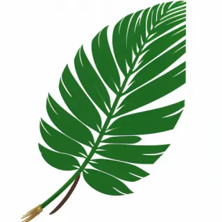 palm leaf png