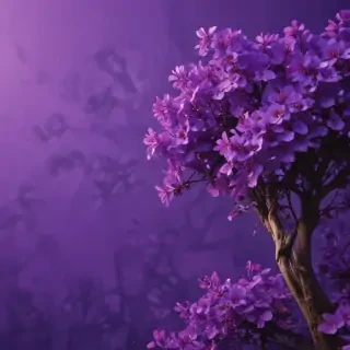 purple aesthetic wallpaper laptop