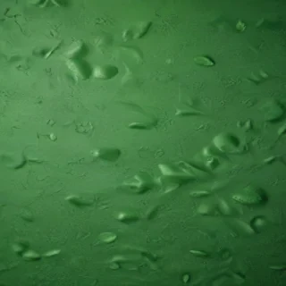 background green texture