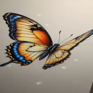 butterfly drawing png