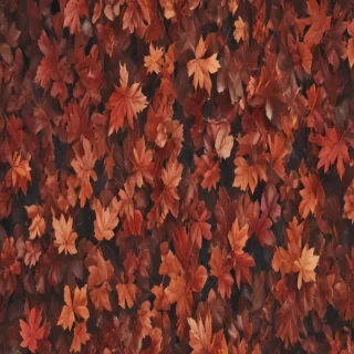 iphone backgrounds fall